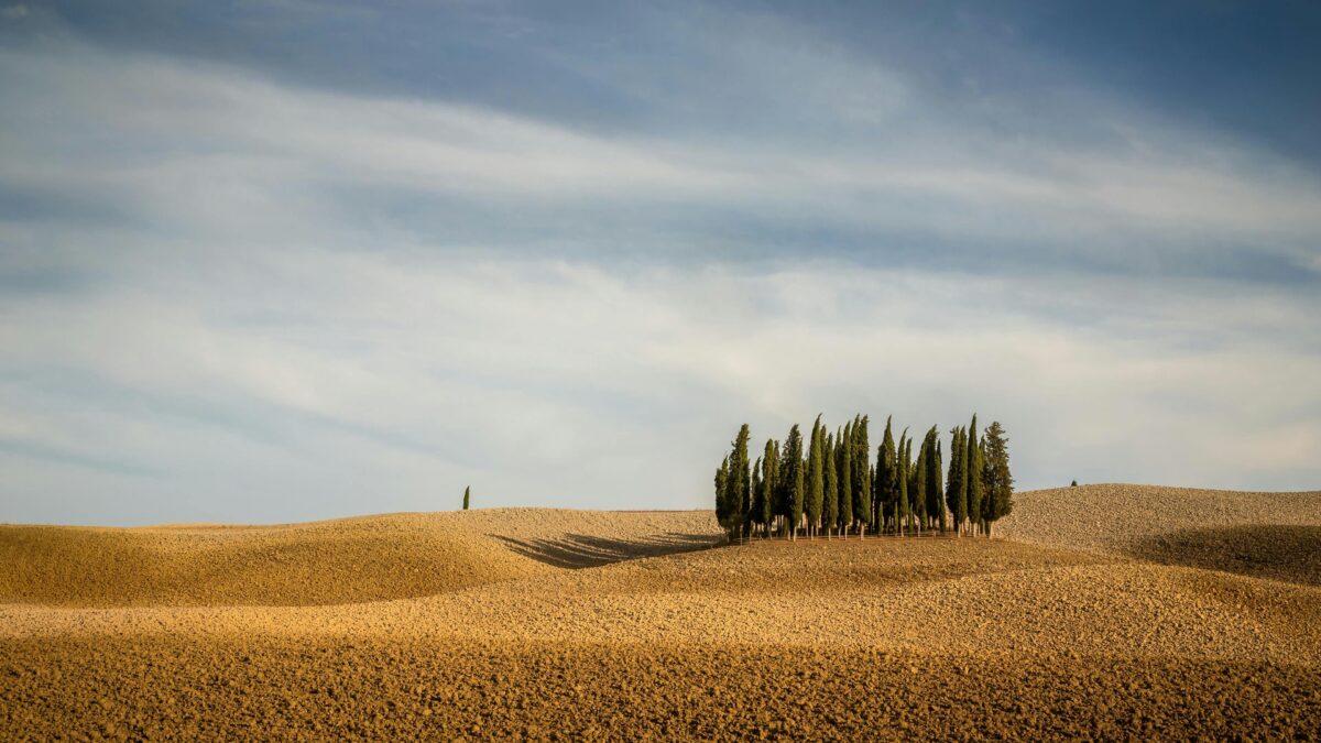paesaggio toscana